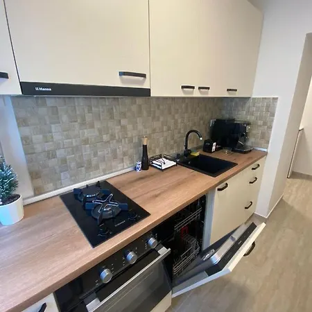 Apartamentul Gaviota-langa Spitalul Judetean Si Casa Austria تيميشورا