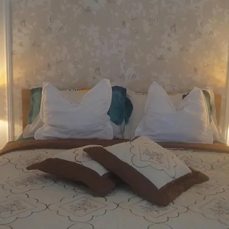 شقة Apartamentul Gaviota-langa Spitalul Judetean Si Casa Austria
