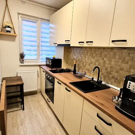 شقة Apartamentul Gaviota-langa Spitalul Judetean Si Casa Austria *