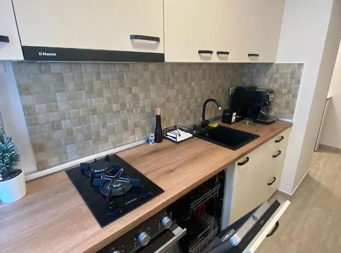 Apartamentul Gaviota-langa Spitalul Judetean Si Casa Austria Timisoara