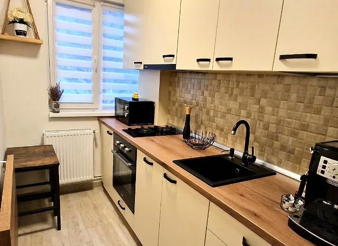 Appartamento Apartamentul Gaviota-langa Spitalul Judetean Si Casa Austria *